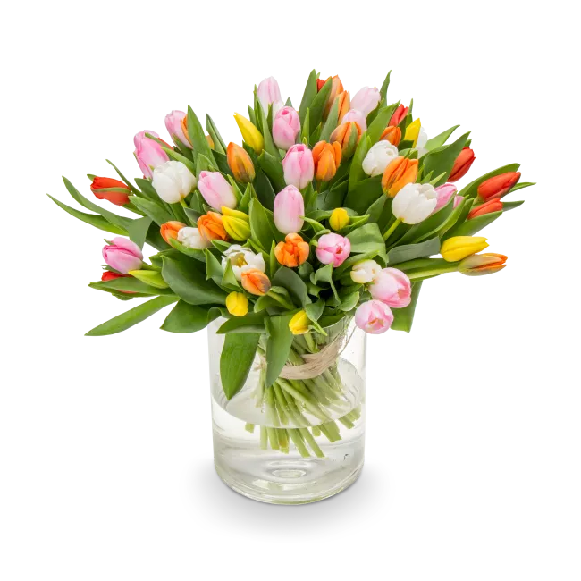 Kytice tulipánů